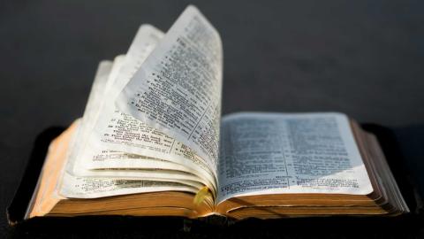 openbible.jpg openbible.jpg