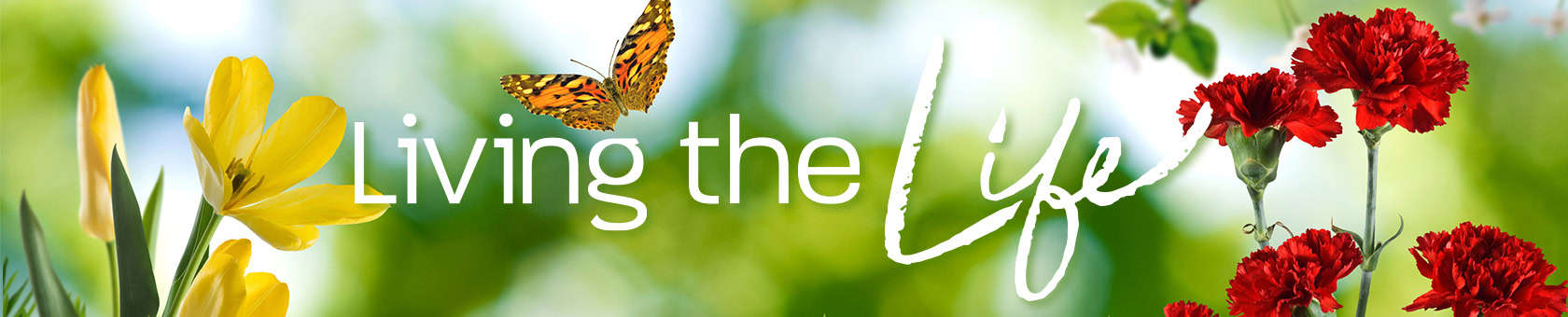 Living the Life