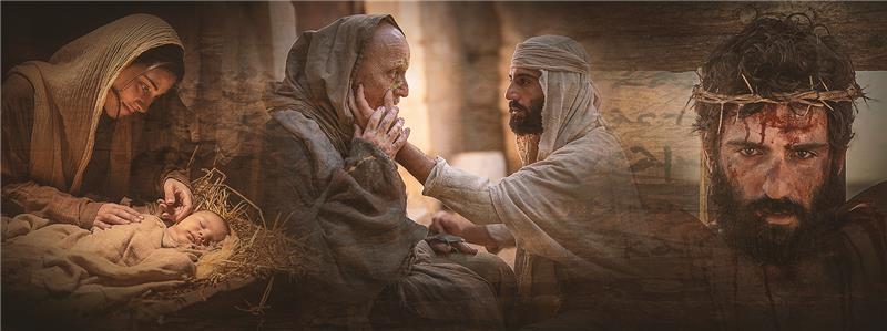 Banner for Oracles NT