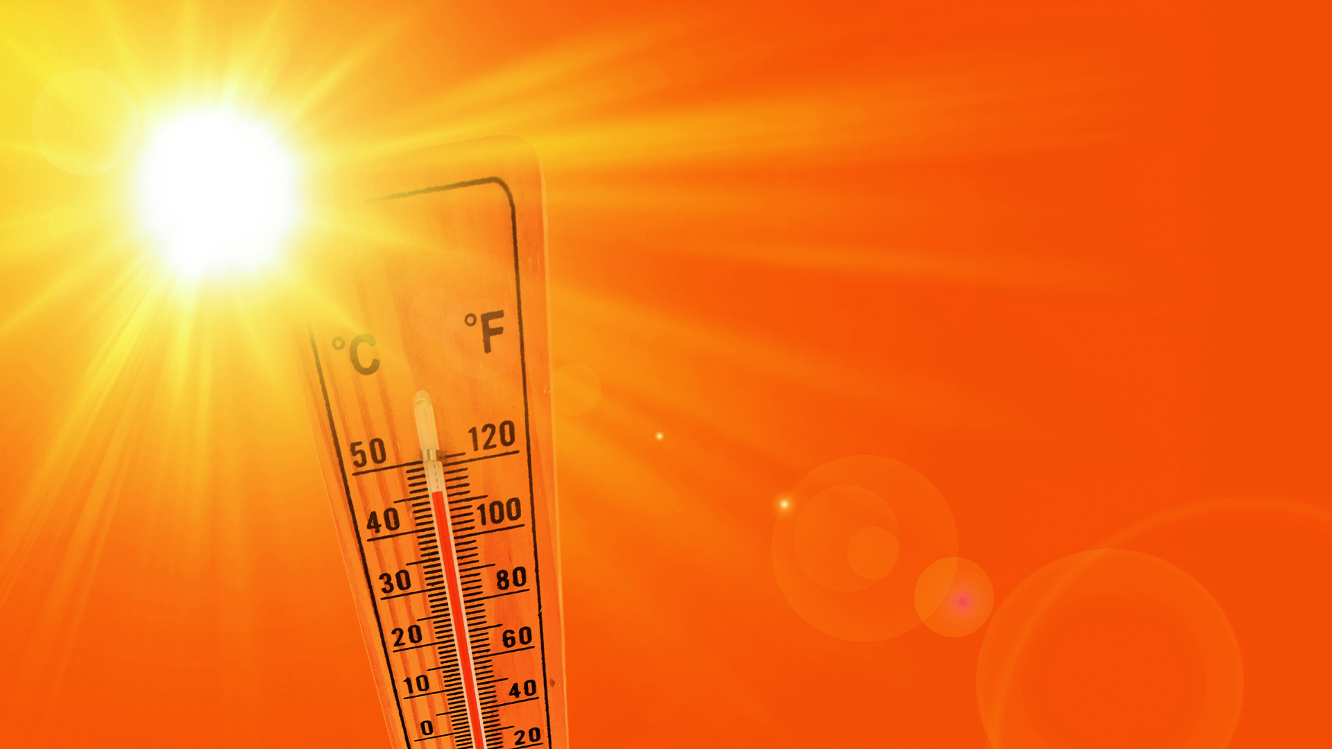 Record Heat Sweeps Globe: #39 We Expect Next Year to Be Warmer #39 CBN News