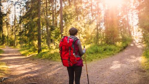 hiker at a fork in the road