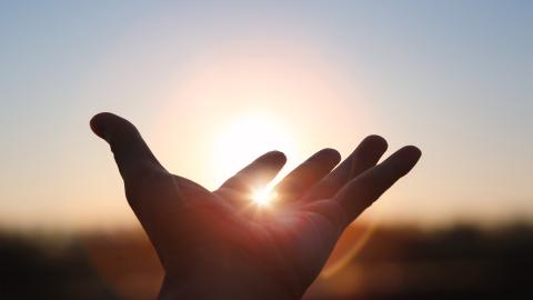 Hand oustretched to sun