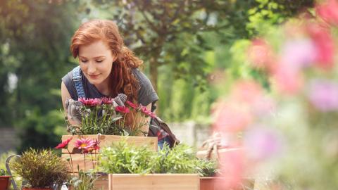 woman tending flowers