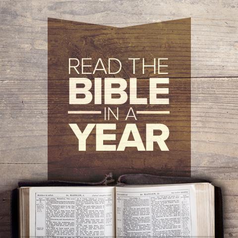 Bible in a Year Mobile