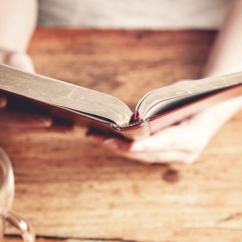 Female hands open Bible