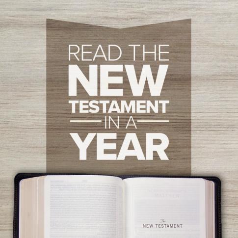 New Testament in a Year