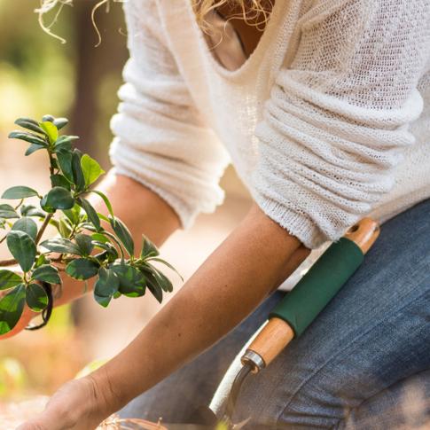 Woman planting a garden 